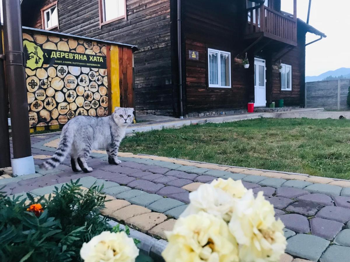 Садиба Дерев*Яна Хата Verhovina Kültér fotó